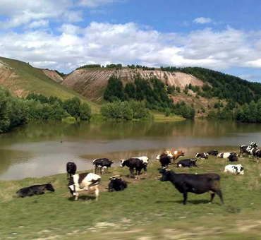 Город Кукмор